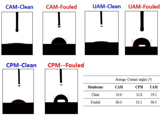 세라믹막과 파울링층 접촉각 비교