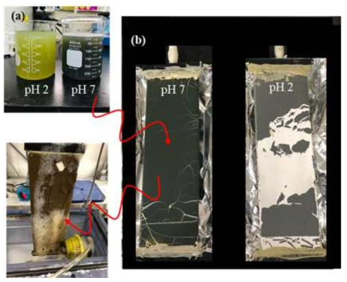 실도금폐수 pH2와 7에서의 사진(a); pH2와 7에서 형성된 파울링층 사진(b)