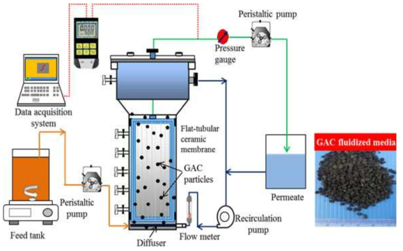 GAC 결합형 하이브리드 유동상 멤브레인 반응기 (Fluidized Membrane Reactor)