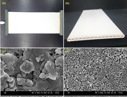 평관형 pyrophylite 세라믹멤브레인 (a) 평관형 pyrophylite 세라믹 멤브레인 (b) 평관형 멤브레인 채널, (c) 그리고 (d) UPM SEM 표면이미지