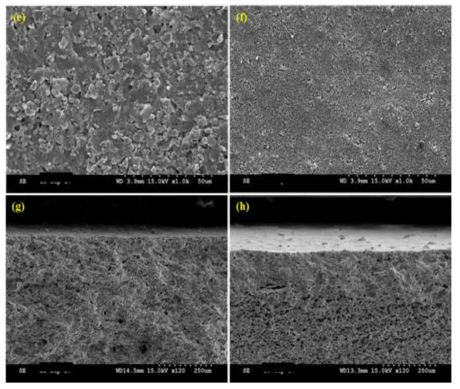 평관형 pyrophylite 세라믹멤브레인 (e) 그리고 (f) CPM SEM 표면이미지, (g) UPM 비코팅 cross-section, (h) CPM cross-section