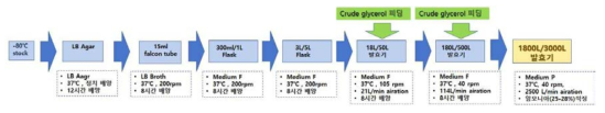현장 설비인 3,000L 발효조를 사용한 1,3-PDO scale-up 발효공정 모식도