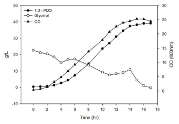 현장설비인 3,000L 발효조를 사용한 1,3-PDO scale-up 결과