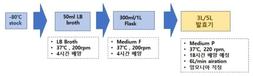 새로운 계대배양 방법을 사용한 5L 발효 공정 모식도