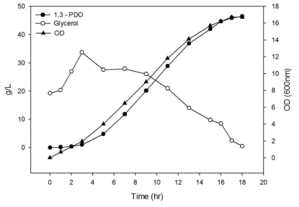 새로운 계대 배양방법으로 진행한 1,3-PDO 발효 결과