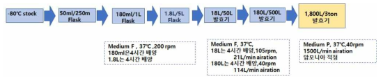 새로운 계대 배양 방법을 사용한 3,000L 발효 공정 모식도