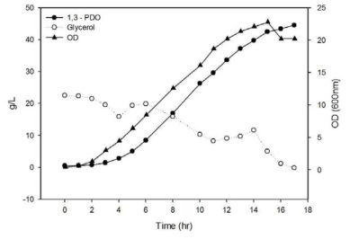 새로운 계대배양법을 적용한 3,000L 발효조에서의 1,3-PDO생산 발효 결과