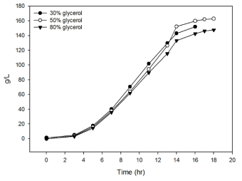 다른 Feeding glycerol 농도에서의 시간별 총 1,3-PDO 생산량 비교