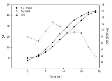 50% crude glycerol을 피딩한 3,000L 발효조에서의 1,3-PDO생산 발효 결과