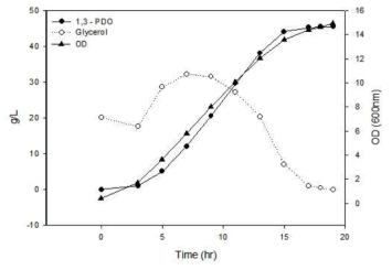 50% crude glycerol을 피딩한 3,000L 발효조에서의 1,3-PDO생산 발효 결과(2차)
