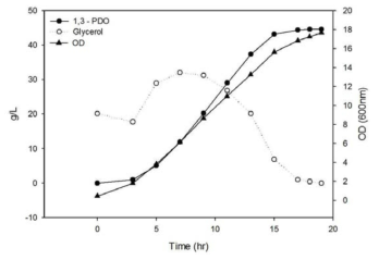 50% crude glycerol을 피딩한 3,000L 발효조에서의 1,3-PDO생산 발효 결과(2차)