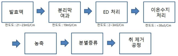 발효액 정제 공정도 및 전도도 기준