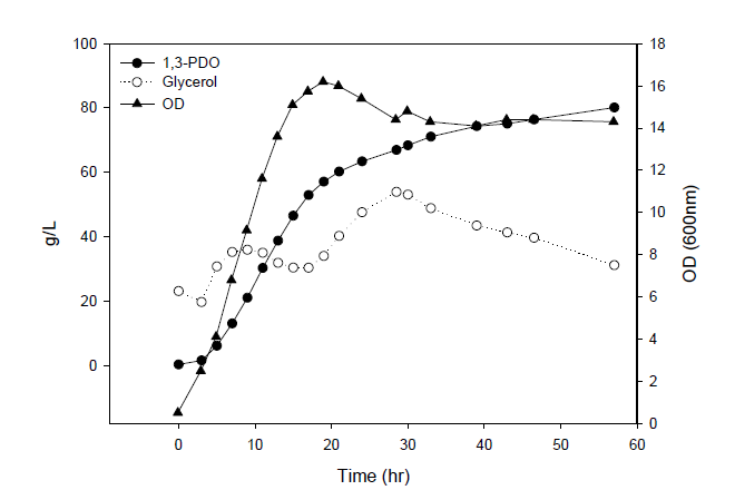 960g의 glycerol 피딩시 1,3-PDO 발효 결과(5L 발효기)