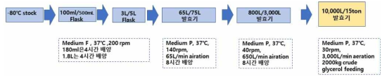 15ton 규모의 1,3-PDO 생산 발효 공정 모식도-4차