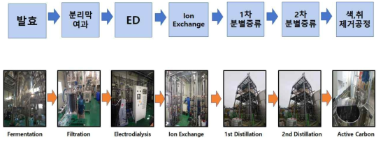 15ton규모에서의 1,3-PDO 생산 공정 모식도