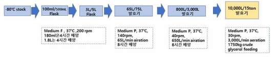 15ton 규모의 1,3-PDO 생산 발효 공정 모식도