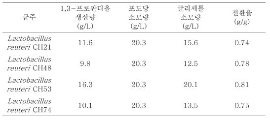 신규 분리 유산균 Lactobacillus reuteri 균주의 배양 결과