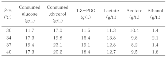 배양온도에 따른 L. reuteri CH53 균주 배양 결과