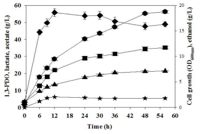 L. reuteri CH53균주의 유가식 배양을 통한 1,3-프로판디올 생산 Cell growth (◆), 1,3-PDO (●), acetate (▲), ethanol (★), lactate (■)