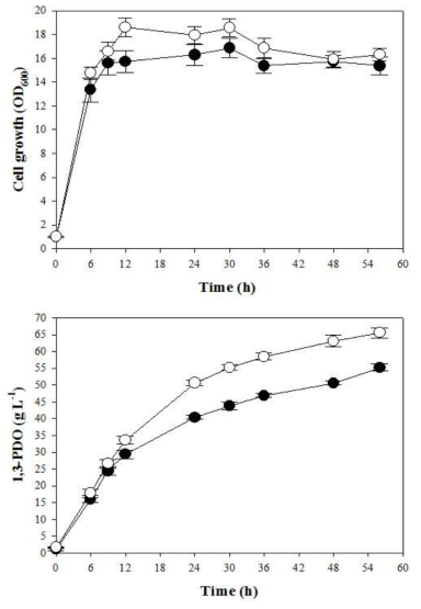 L. reuteri CH53균주의 옥수수침지액을 활용한 유가식 배양 Yeast extract (●), 옥수수침지액 (○)