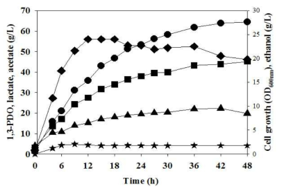 L. reuteri CH53 균주의 옥수수침지액 30g/L을 이용한 유가식 배양 Cell growth (◆), 1,3-PDO (●), acetate (▲), ethanol (★), lactate (■)