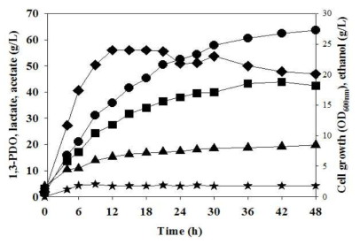 L. reuteri CH53 균주의 50L 유가식 배양 결과 Cell growth (◆), 1,3-PDO (●), acetate (▲), ethanol (★), lactate (■)