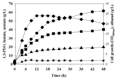 L. reuteri CH53 균주의 500L 유가식 배양 결과 Cell growth (◆), 1,3-PDO (●), acetate (▲), ethanol (★), lactate (■)