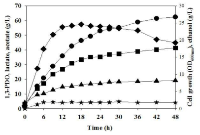 L. reuteri CH53 균주의 5000L 유가식 배양 결과 Cell growth (◆), 1,3-PDO (●), acetate (▲), ethanol (★), lactate (■)