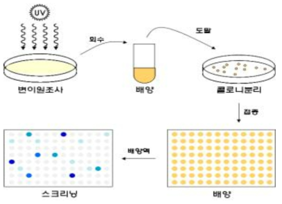 UV의 의한 1,3-프로판디올 고생산 변이 균주 개발