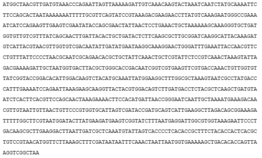 D-lactate dehydrogenase 유전자의 염기서열