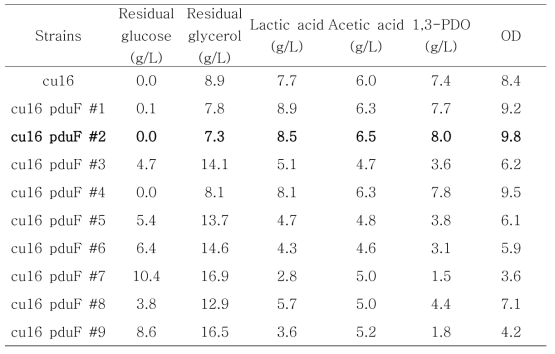 PduF 발현 L. reuteri cu16 균주 플라스크 배양결과