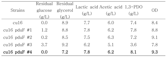 PduF 발현 L. reuteri cu16 균주 플라스크 배양결과