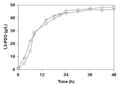 L. reuteri cu16 균주와 cu16 yqhD #4 균주의 1,3-PDO 생산 L. reuteri cu16 (▽), L. reuteri cu16 yqhD #4 (○)