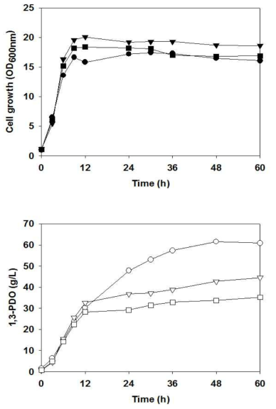 유기산을 첨가한 L. reuteri CH53 균주의 유가식 배양 결과 MRS (●,○), MRS+10g/L lactate (▼,▽), MRS+10g/L acetate (■,□)