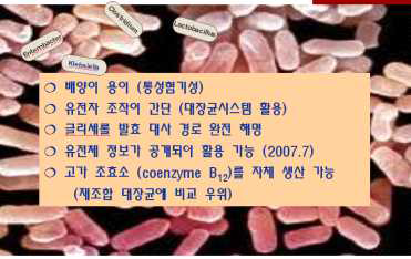 글리세롤 발효 대사 공학 연구를 위한 K. pneumoniae의 장점