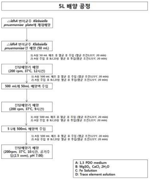 5L 발효액 제조공정