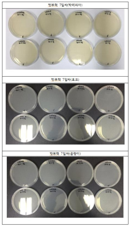 박테리아, 효모, 곰팡이에서의 방부력 실험 결과