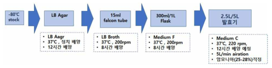 폐글리세롤을 이용한 발효 공정 모식도