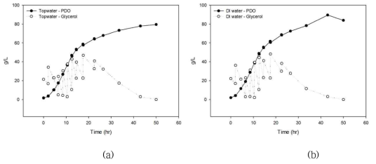 상수와 정제수로 만든 배지를 사용한 1,3-PDO발효 결과 (a):상수,(b):정제수