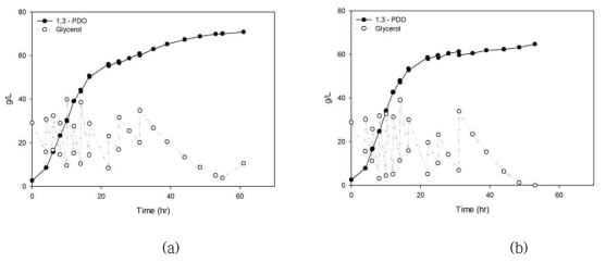 50L에서의 RPM에 따른 1,3-PDO 생산 (a) 100rpm (b) 150rpm