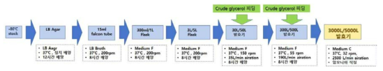 5,000L 수준의 1,3-PDO생산 발효 scale-up 공정 모식도