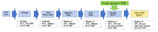 새로운 배지에서의 500L scale-up 발효공정 모식도