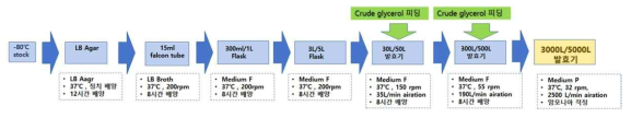 새로운 배지에서의 5,000L scale-up 발효공정 모식도