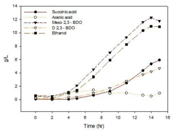 새로운 배지에서 5,000L scale-up 발효시 부산물 결과