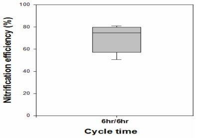 Aeration-photosynthesis cycle time에 따른 질산화 효율 변화