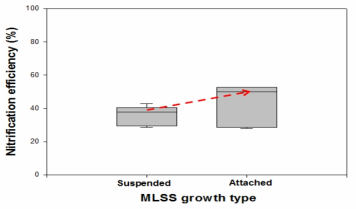 MLSS 부유 및 부착성장에 따른 질산화 효율 변화