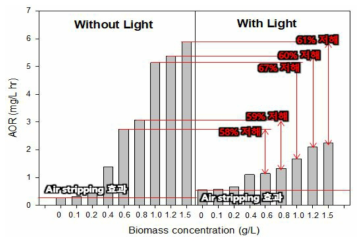 빛의 유무와 질산화균의 biomass 농도에 따른 AOR