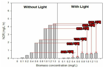 빛의 유무와 질산화균의 biomass 농도에 따른 NOR