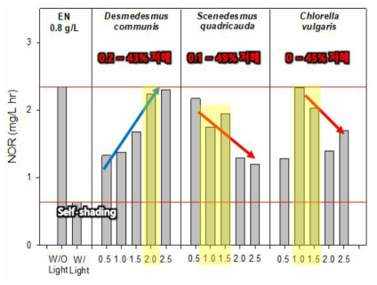 무폭기로 미세조류와 질산화농화균 질량비율에 따른 공배양에서의 NOR