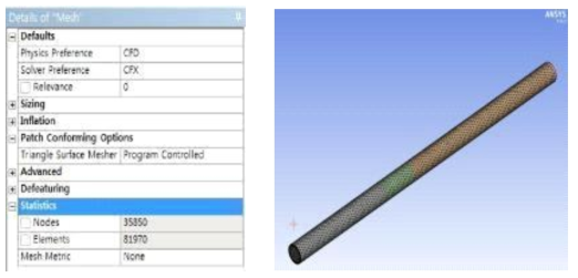 Mesh of Flow domain modeling